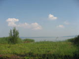 IMG_9491.JPG