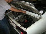 IMG_7933.JPG