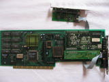 A2000-PIV-Paloma+Concierto.JPG