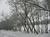 IMG_9773.JPG