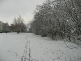 IMG_9775.JPG