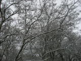 IMG_9780.JPG