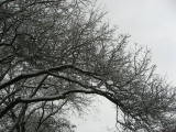 IMG_9781.JPG