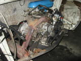 IMG_5453.JPG