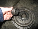 IMG_5465.JPG