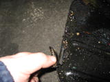 IMG_5497.JPG