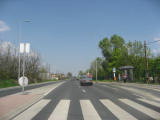 IMG_8135.JPG