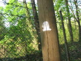 IMG_8223.JPG