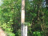IMG_8228.JPG