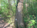 IMG_8232.JPG