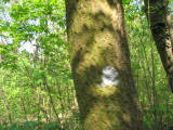 IMG_8235.JPG