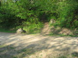 IMG_8239.JPG