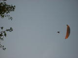 IMG_3880.JPG