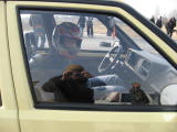 bimg_0013.jpg